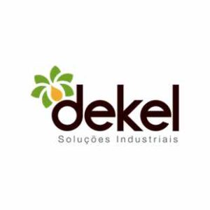 logo-dekel